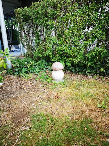 Schnitzerei eines Pilz - Image 1