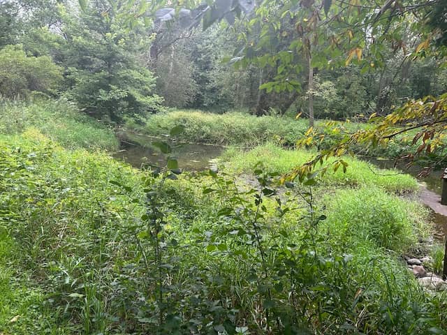 Oxbow Park - Image 2