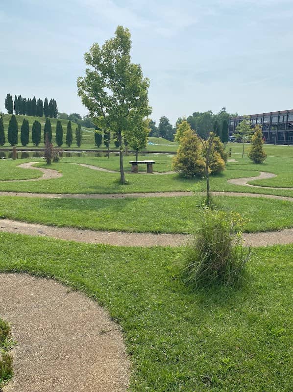The Tree of Life Labyrinth - Image 1