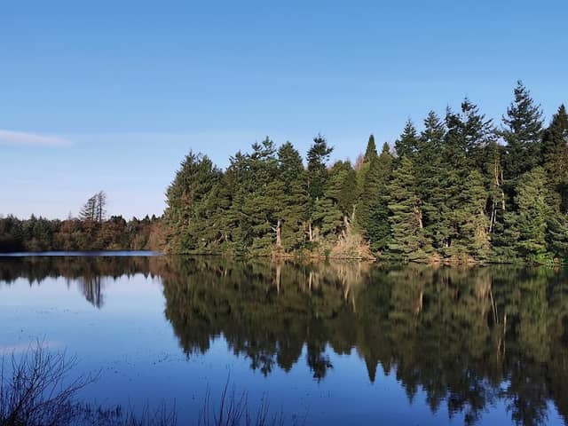 Crombie Country Park - Image 1