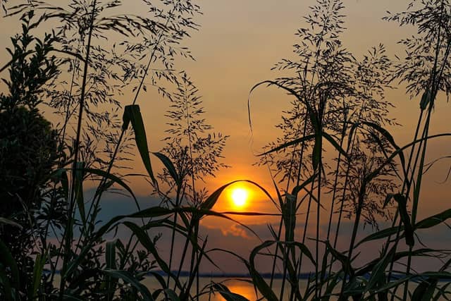 Kent County, Maryland Tourism - Image 1