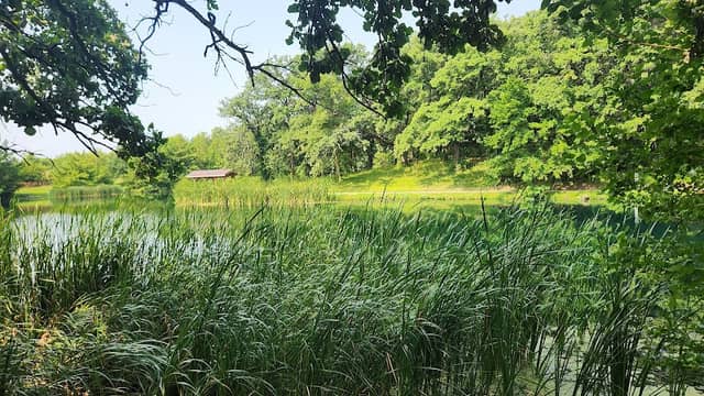 Jenny Newman Pond - Image 2