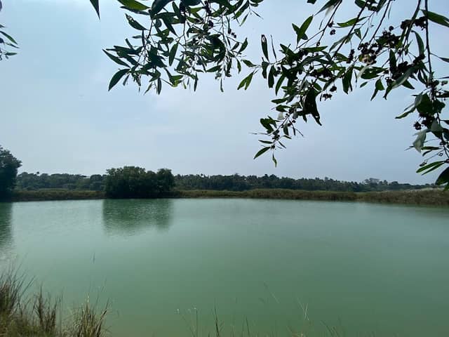 MGM ISLAND - Image 1