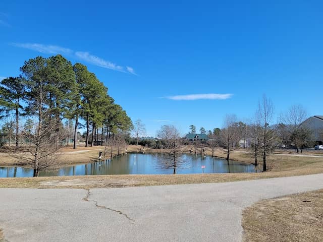 Palmetto Park - Image 3