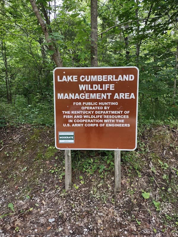 Lake Cumberland Wildlife Management Area Fishing Creek Area - Image 2