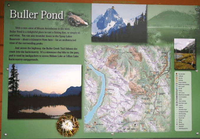 Buller Pond - Image 1