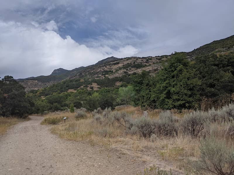 Wilderness Park Trail - Image 1