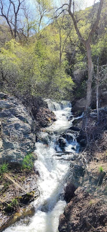 Wilderness Park Trail - Image 2