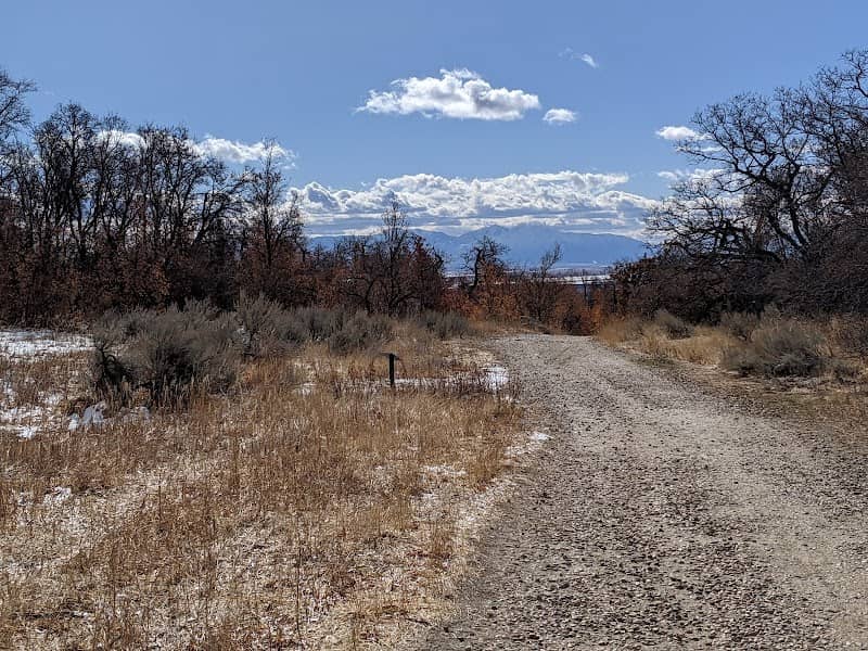 Wilderness Park Trail - Image 3