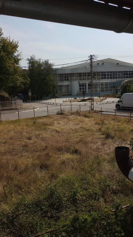 Споменик Зорану Ђинђићу у Прокупљу - Image 1