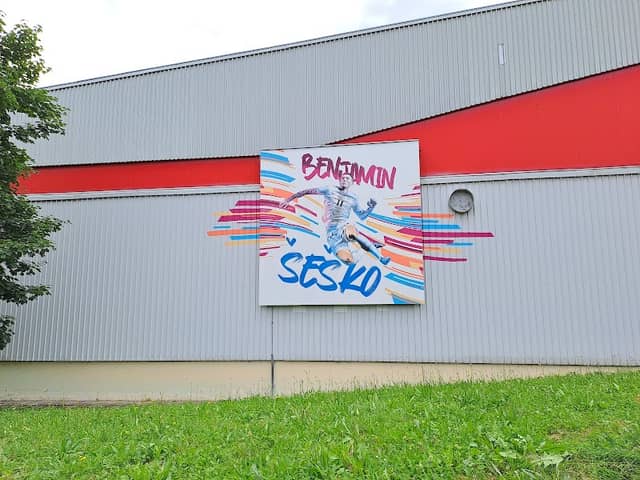 Benjamin Šeško Mural - Image 1
