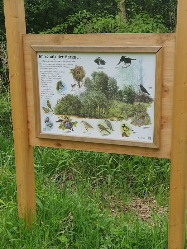 Vogelbeobachtungsstation - Image 3
