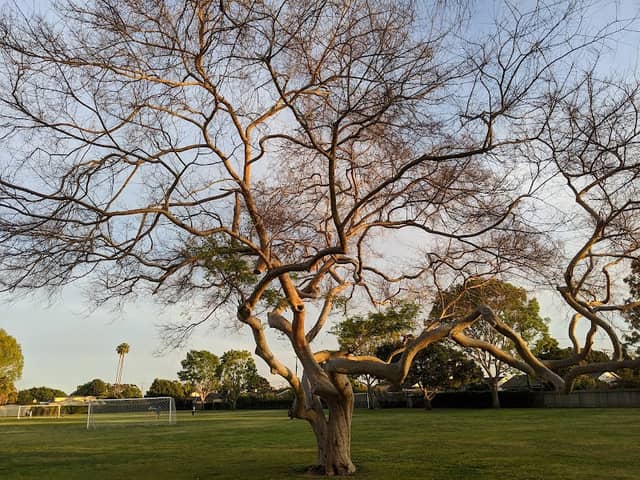 Harper Park - Image 1