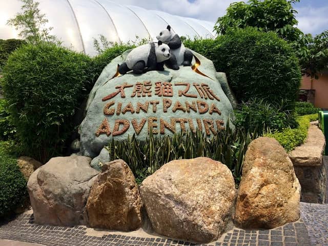 Giant Panda Adventure - Image 2