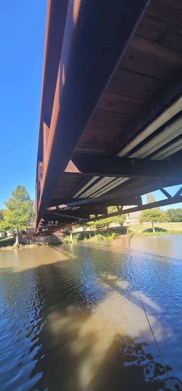 Greater Turtle Bridge - Image 3
