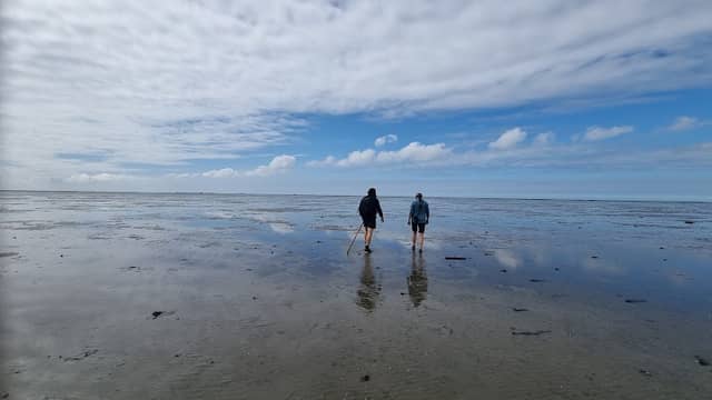 Wadlopen bij Peazens-Moddergat - Image 1