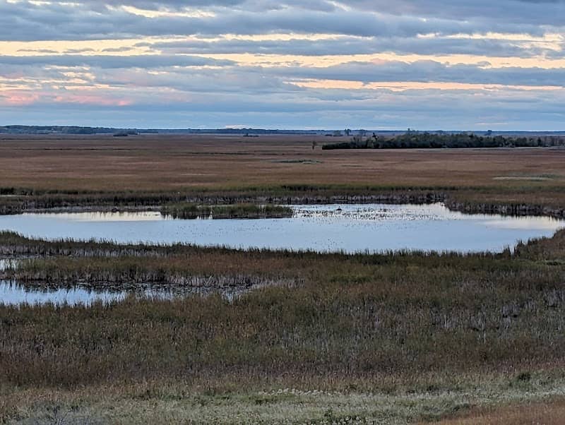 Horicon Marsh State Wildlife Area - Image 2
