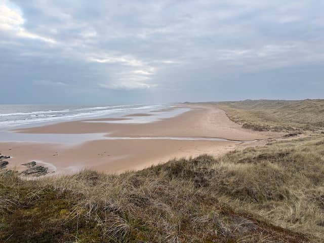 Forvie National Nature Reserve (Waterside car park) - Image 1