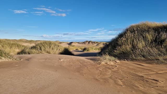 Forvie National Nature Reserve (Waterside car park) - Image 2