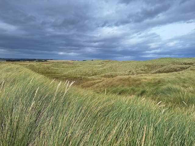 Forvie National Nature Reserve (Waterside car park) - Image 3