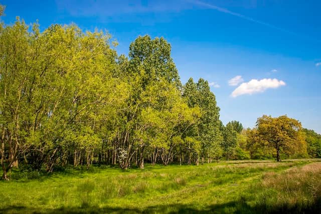 Hawley Meadows and Blackwater Park - Image 1