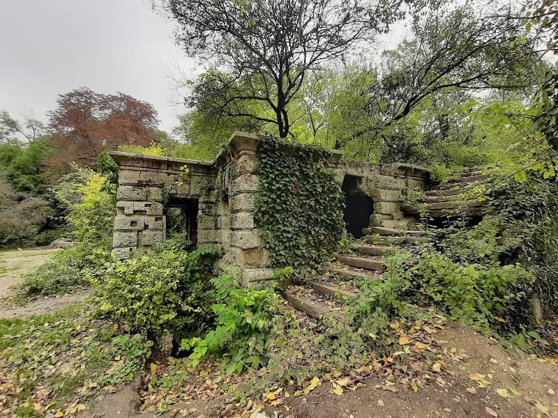Maksimova Dacha - Image 1
