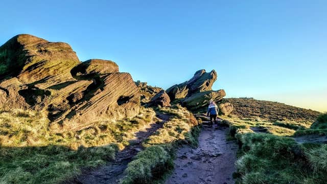 The Roaches - Image 2