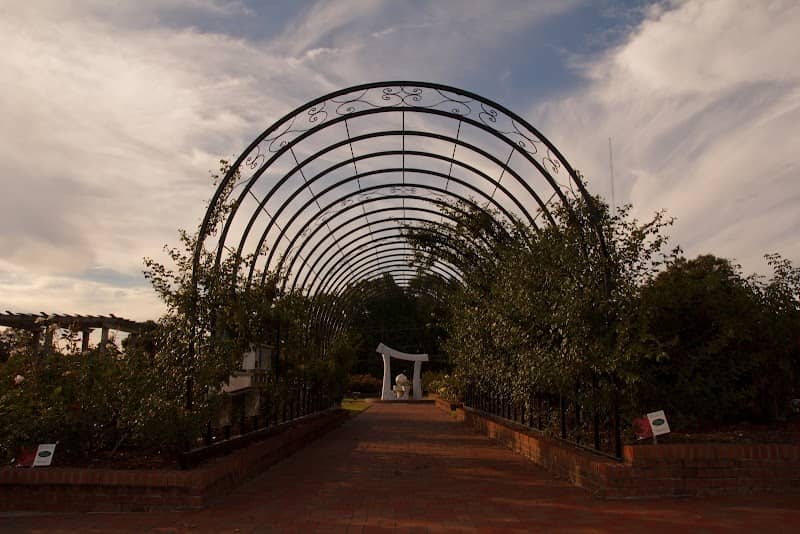 Wilson Rose Garden - Image 2