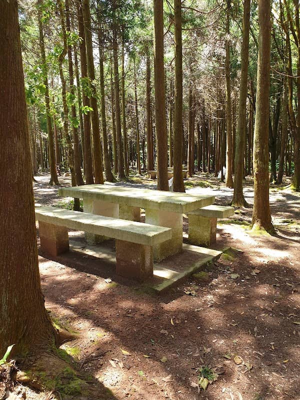 Parque Infantil e Zona de Lazer da Mata da Esperança - Image 1