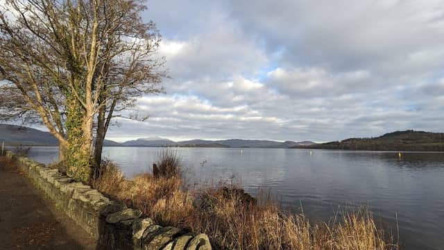 Duck Bay - Image 2
