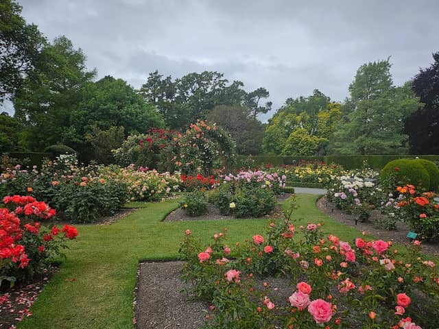 Christchurch Botanic Gardens - Image 1