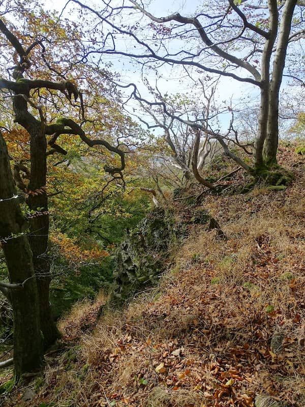 Rohrberg - Image 1