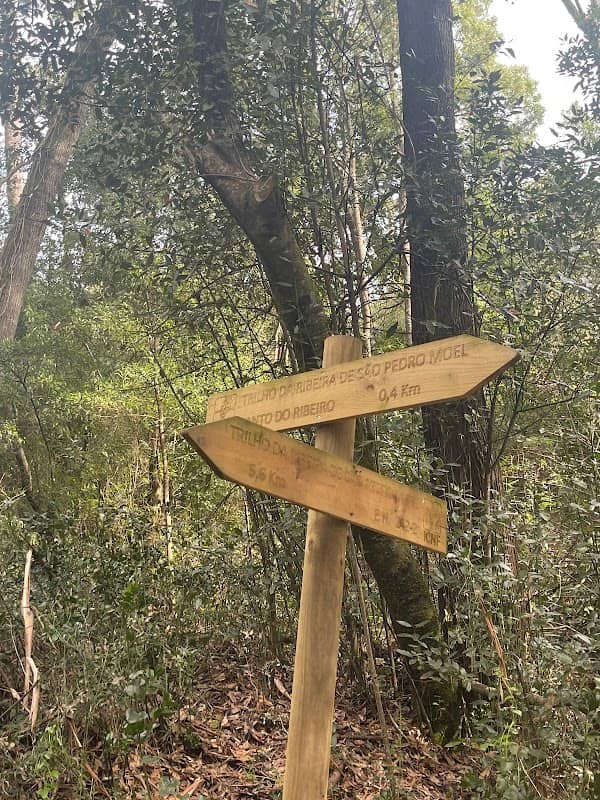 Trilho da Ribeira de São Pedro Moel - Image 1