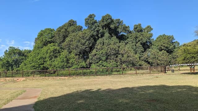 Wonderboom Nature Reserve - Image 1