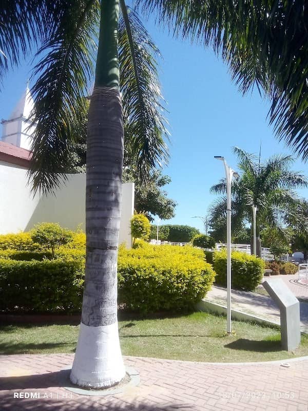 Praça Dr.João Borges - Image 1
