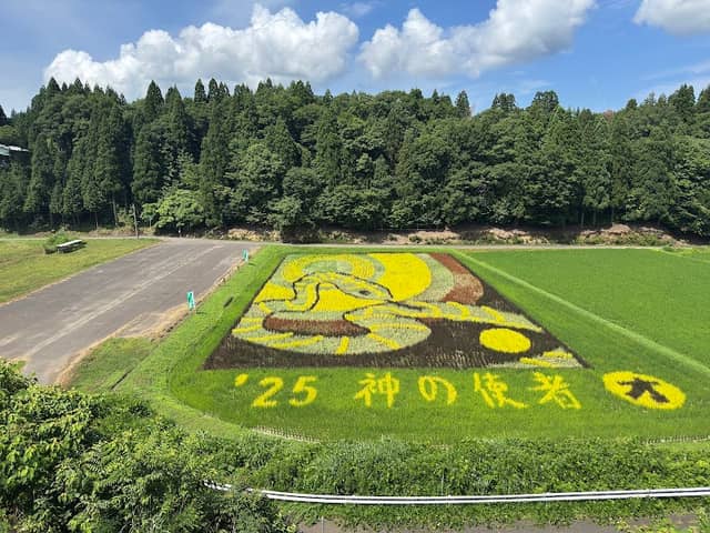 田んぼアート樫津 - Image 1