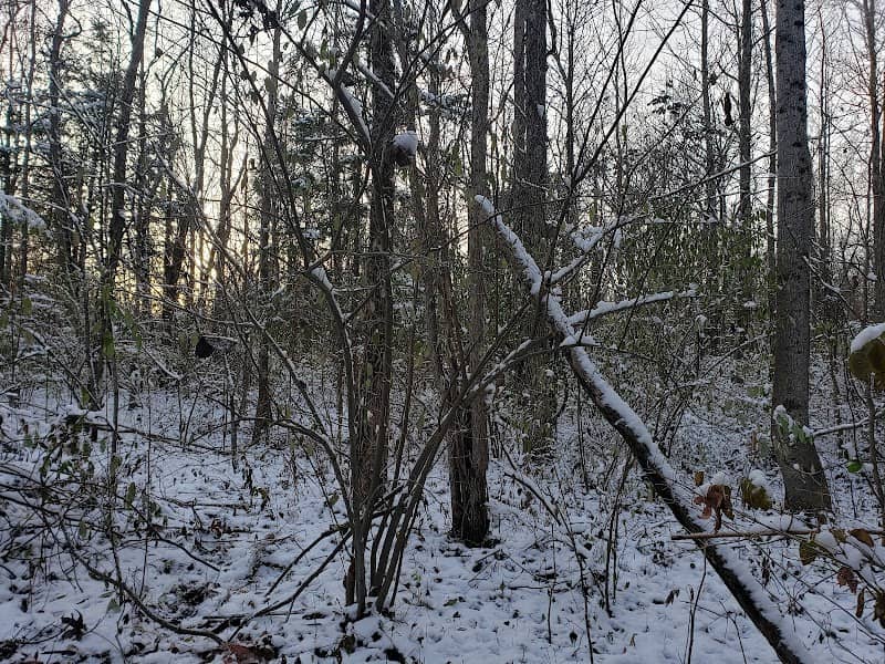 Crosley Fish and Wildlife Area - Image 2