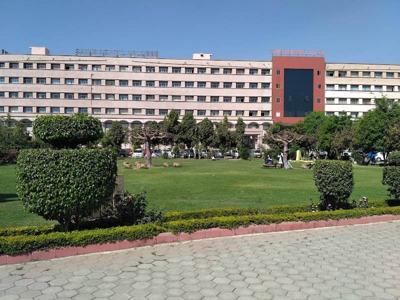 Laser Lawns - Image 1