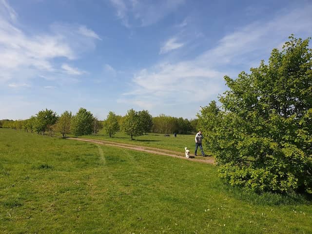 Weldon Woodland Park - Image 1