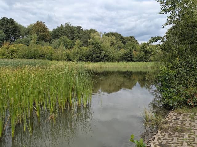 Weldon Woodland Park - Image 2