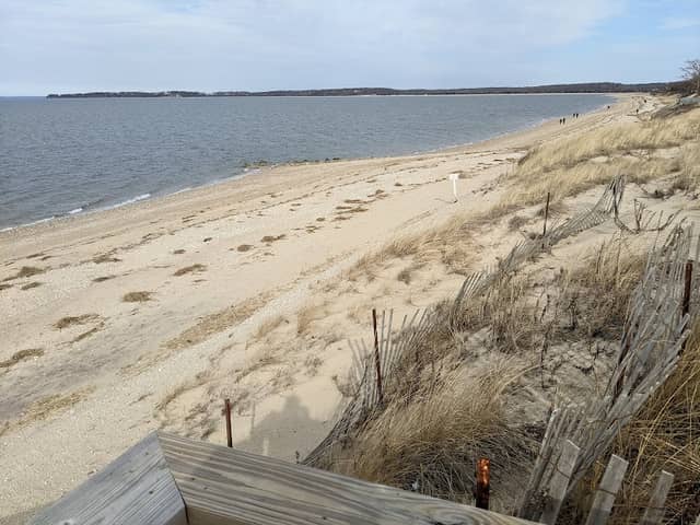 Otto Schubert Beach - Image 3