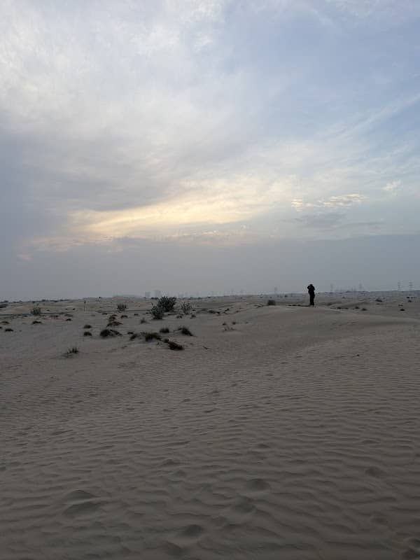 Half Desert - Image 1