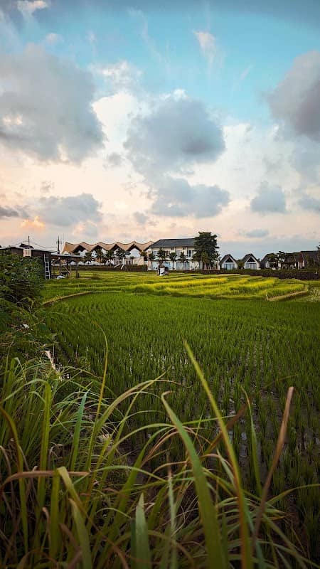 Uma Desa Canggu - Image 2