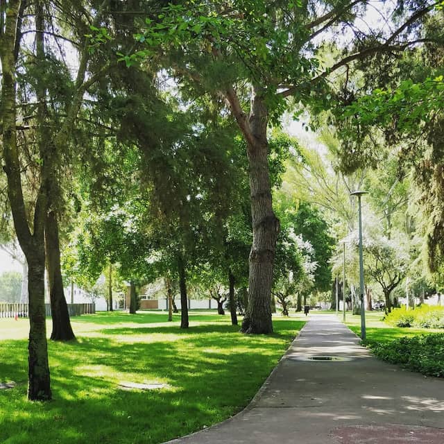 Park Zona Norte de Almeirim - Image 1