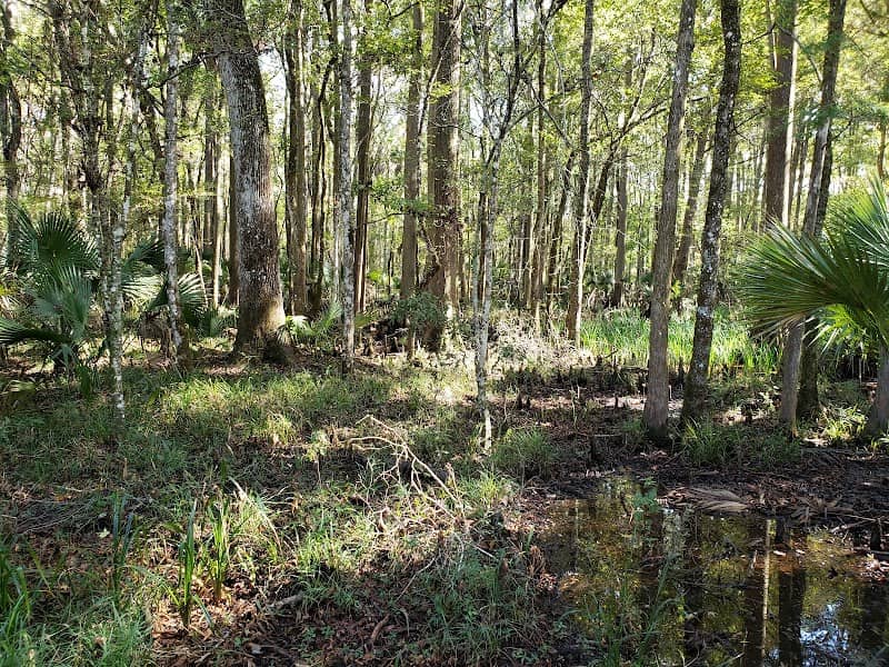 Big Bend WMA - Image 1