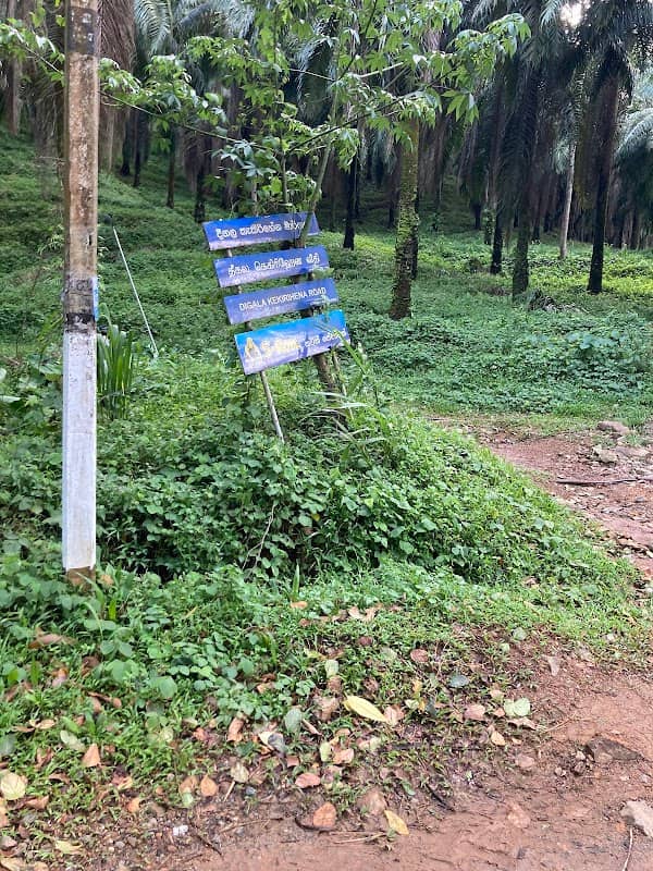 Kekirihena - Image 1