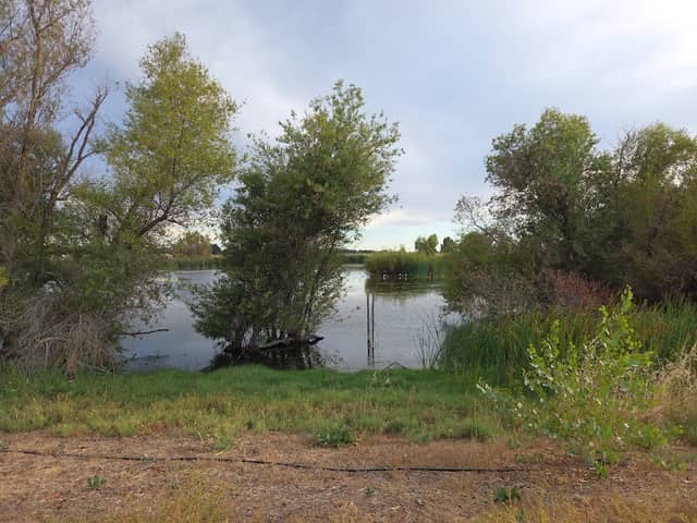 woodland park and preserve - Image 3