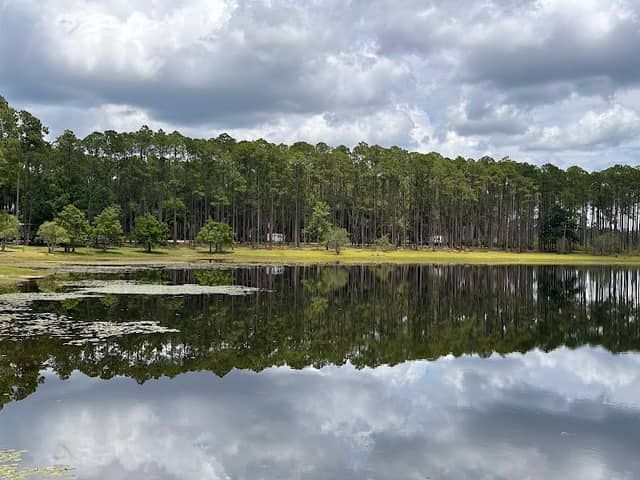 Florida Trail Sand Pond Campground Trailhead - Image 1