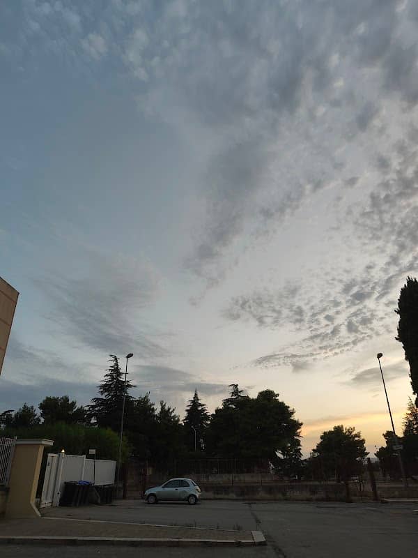 Parco pubblico - Image 1
