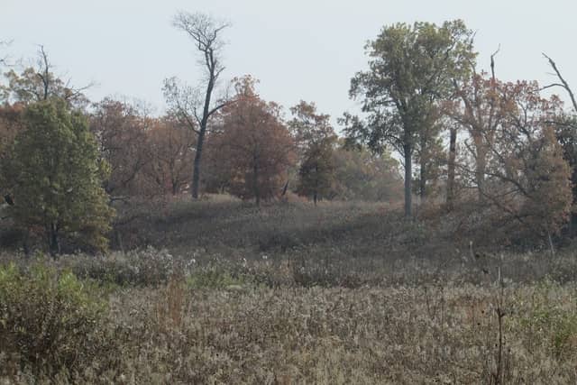 Prairie Border Nature Preserve - Image 1